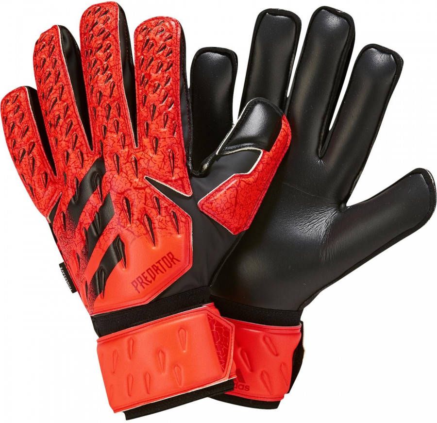 Adidas predator goalkeeper match keepershandschoenen rood heren online kopen